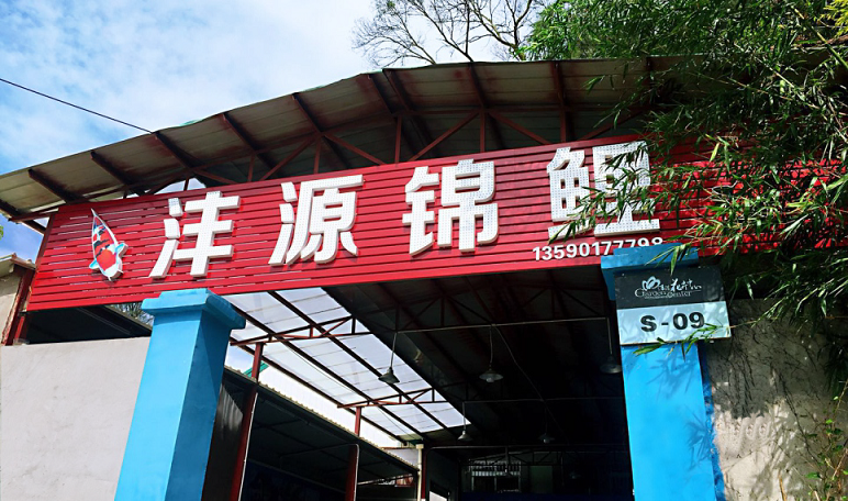 ABUIABAEGAAglrfQ2gUo5qHC9QMwhAY4yAM